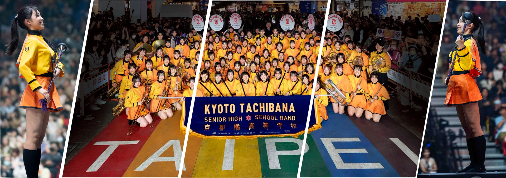 Premium Chlorella Supplement