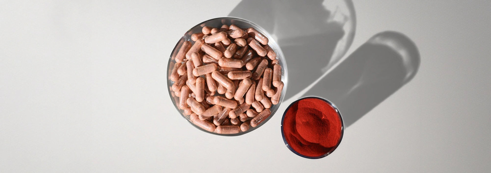 Premium Chlorella Supplement