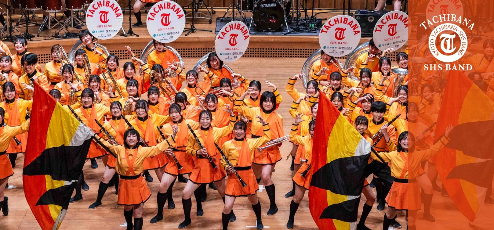 Premium Chlorella Supplement