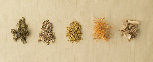 What is Eleuthero? The Energy & Stress Adaptogen