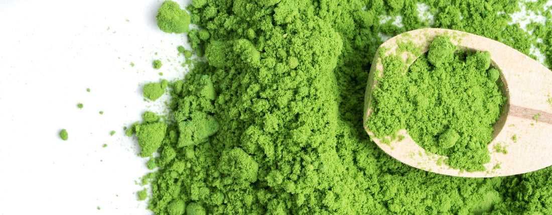 Chlorella green powder with a spoon