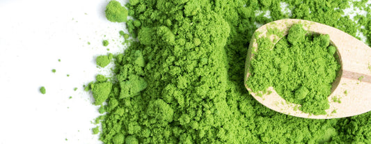 Chlorella green powder with a spoon