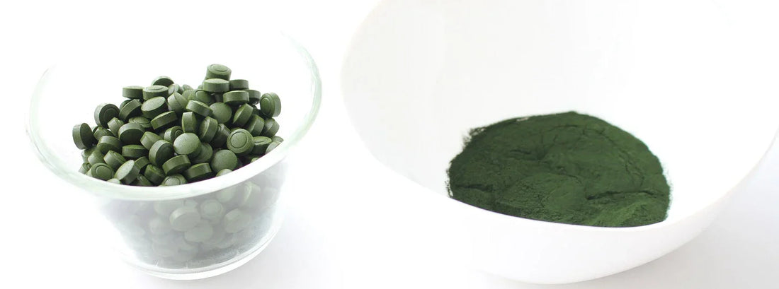 Chlorella tablets and chlorella powder in bowls