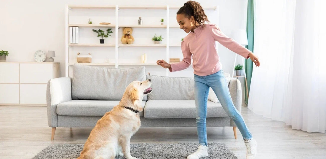 Benefits of Chlorella for Dogs: Supporting Daily Vitality, Skin, and Digestion