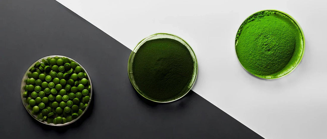 High Quality samples of chlorella in powder and tablet by Sun Chlorella