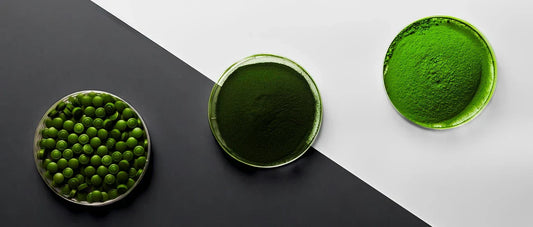 High Quality samples of chlorella in powder and tablet by Sun Chlorella