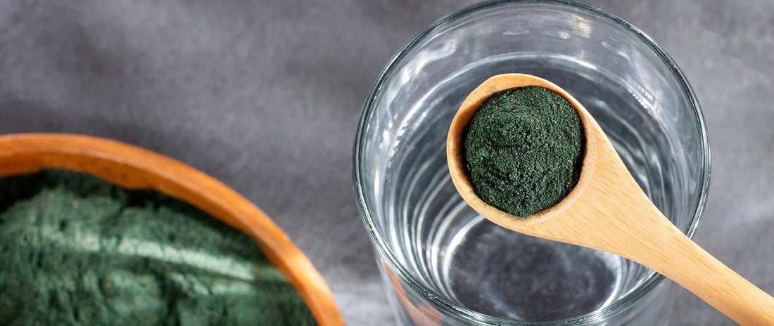 Why Algae Supplements Are Becoming Popular in Modern Nutrition