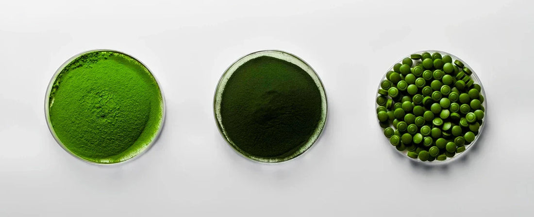 How to Choose the Right Chlorella Supplement for Your Lifestyle