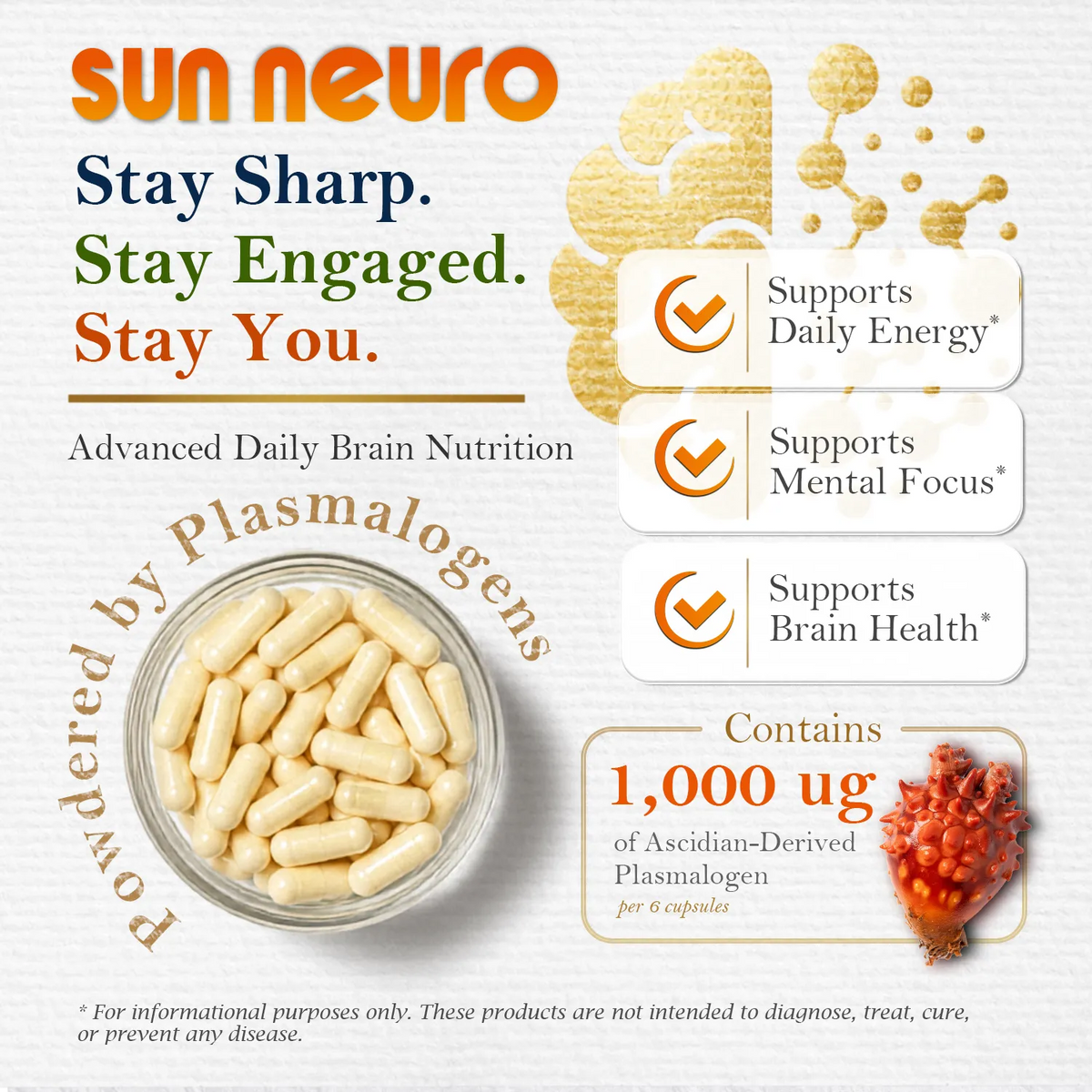 Sun Neuro – Marine-Sourced Plasmalogen Formula